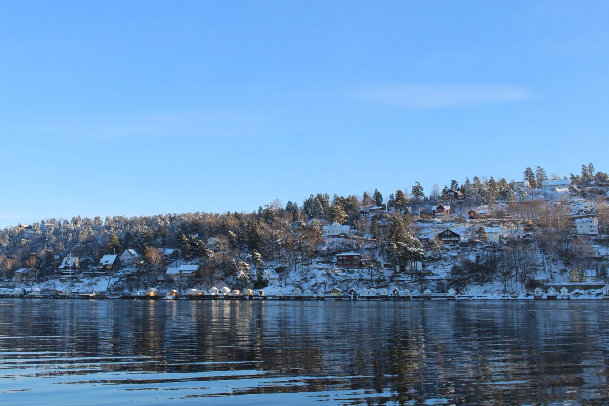 Oslo Fjord Sightseeing - houses on the banks of the Oslo fjords