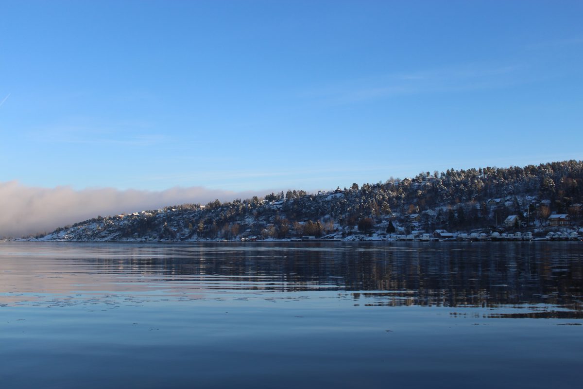 Oslo Fjord Sightseeing - cottages on the banks of the Oslo fjords