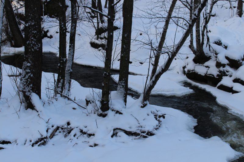 Visiting Oslo in January