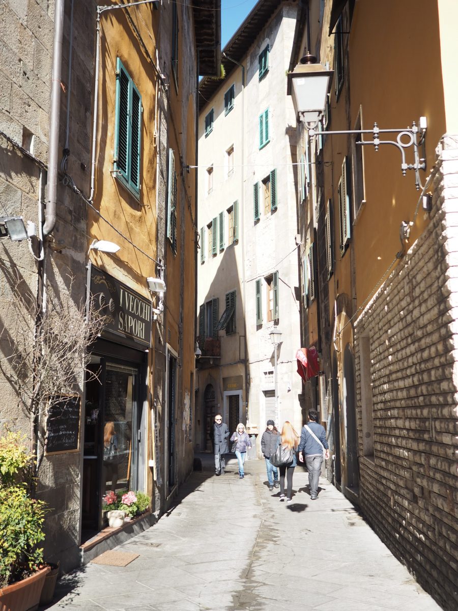 Pisa in One Day