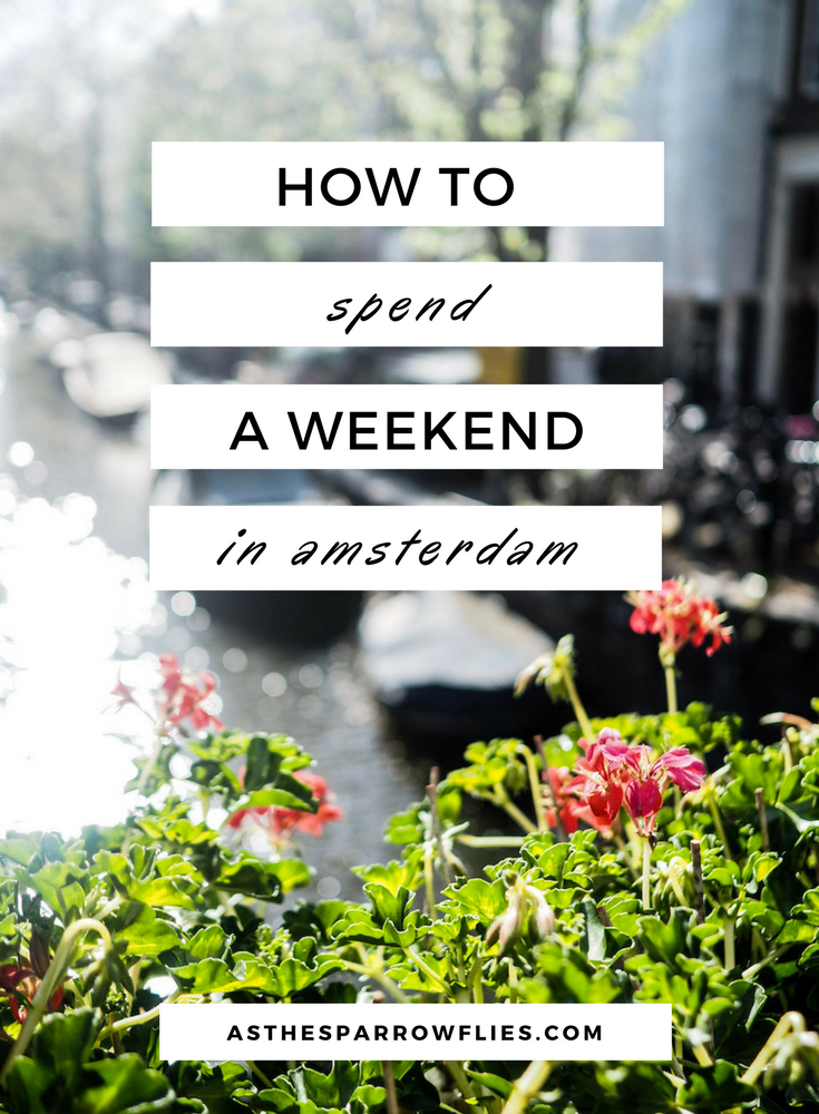 Amsterdam | City Break Guide | European Travel | The Netherlands Breaks