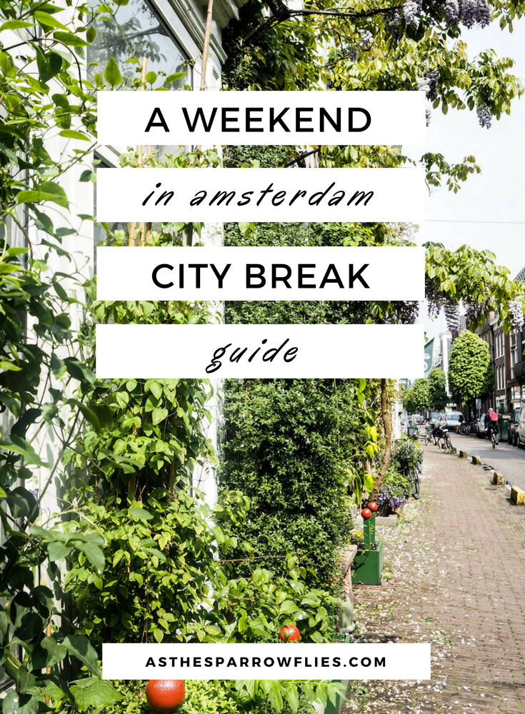 Amsterdam | City Break Guide | European Travel | The Netherlands Breaks