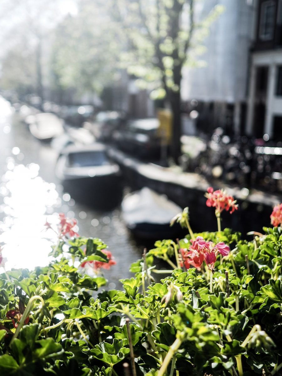 A Weekend In Amsterdam