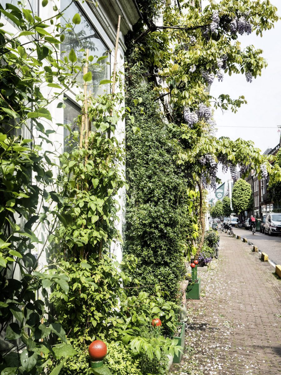 Weekend In Amsterdam