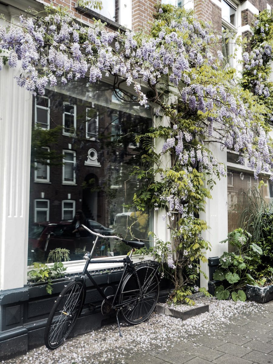Weekend In Amsterdam