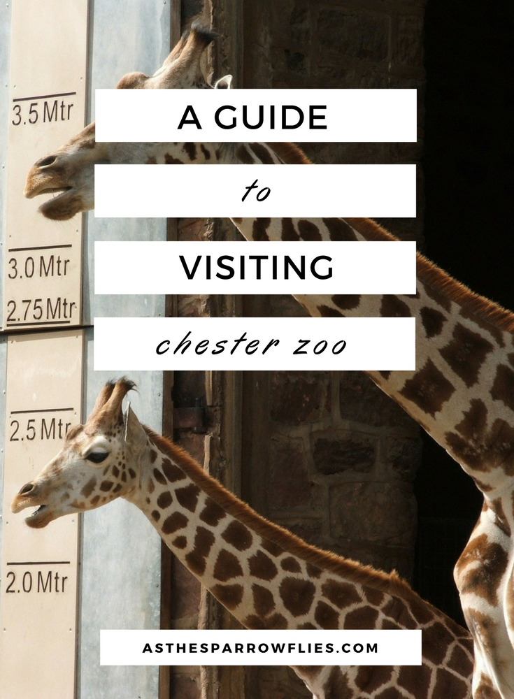 Visiting Chester Zoo | Chester City Break Guide | Visit Chester in the UK | UK City Break | Cheshire
