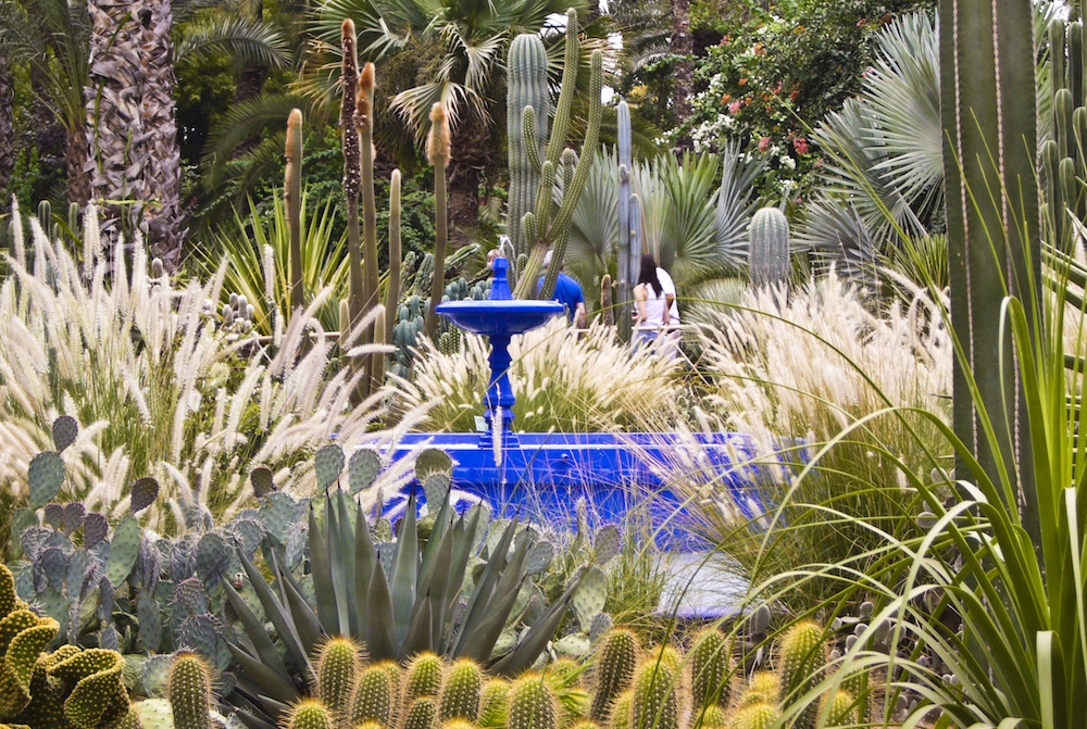 Long Weekend in Marrakech Garden Majorelle