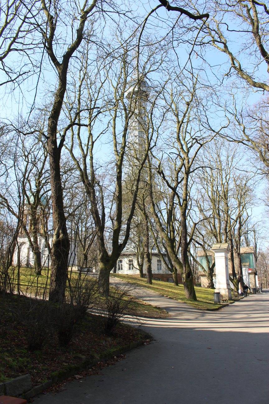 Petrin Observation Tower in Prague