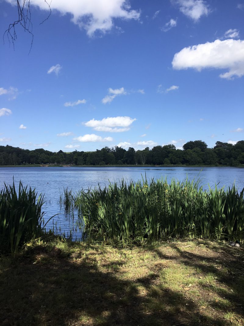What to do at Virginia Water